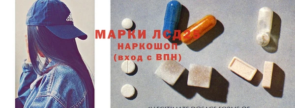 стаф Михайловск