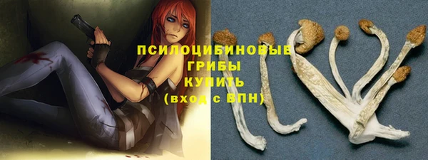 стаф Михайловск
