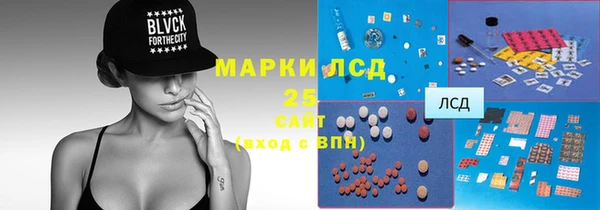 стаф Михайловск