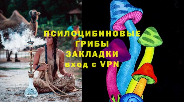 стаф Михайловск
