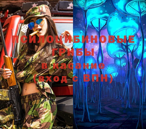 шишки Михайлов