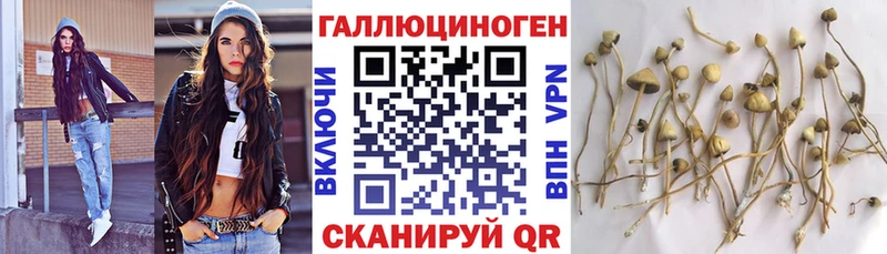 наркошоп  MEGA ССЫЛКА  Псилоцибиновые грибы мицелий  Домодедово 