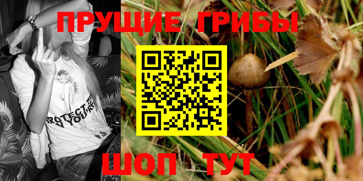 Домодедово  закладка  Вход с VPN  Галлюциногенные грибы Psilocybine cubensis 